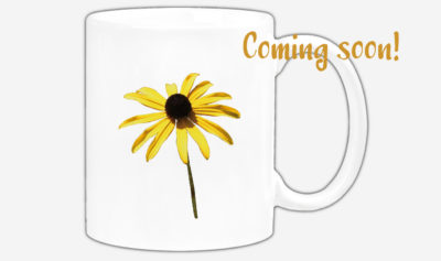 Gewöhnlicher Sonnenhut #2695 (Trinkbecher) | Common Coneflower #2695 (Mug) Coming soon!