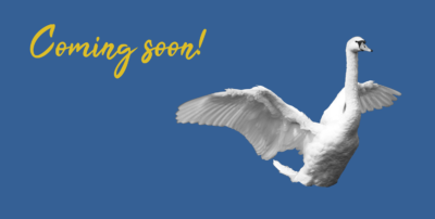 Ausgestreckter Schwan #0941 (Postkarte) | Swan outstretched #0941 (Postcard) Coming soon!